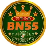 BN55