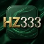 HZ333