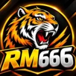 RM666